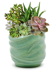 Wave Planter