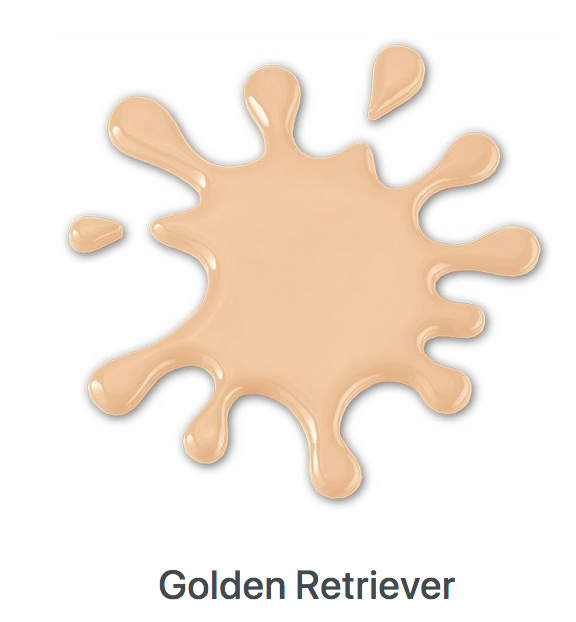 Golden Retreiver 50