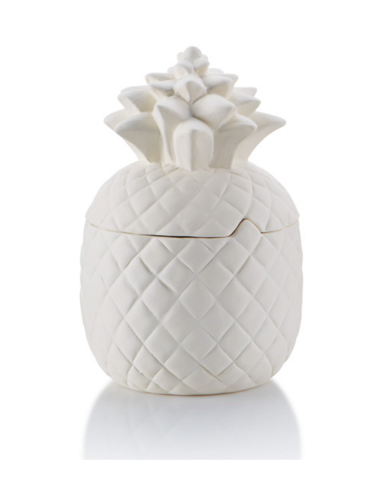 Pineapple Canister